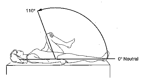 hip2_flex.tif (388038 bytes)