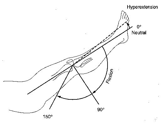 knee.tif (629334 bytes)