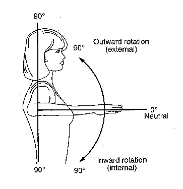 shoulder_rot.tif (408902 bytes)